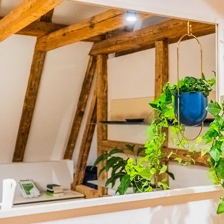 Living&comfort Penthouse-suite - Netflix, Kingsize Beds, Fast Wi-fi, Espresso Apartman Magdeburg